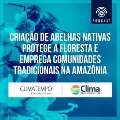 Criação de abelhas gera empregos e protege Amazônia