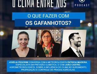 Climaenrenos_Clima e pragas-gafanhotos