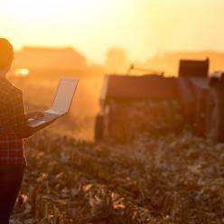 Mapa libera R$ 50 milhões de subvenção para seguro rural