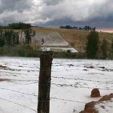 Parece neve: frio e granizo cobrem plantações no sul de Minas Gerais