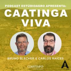 Ouça o Caatinga Viva, episódio do podcast EstúdioAgro