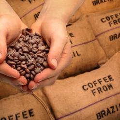 Exportações dos cafés do BR em setembro bate recorde histórico