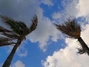 Vento_IStock