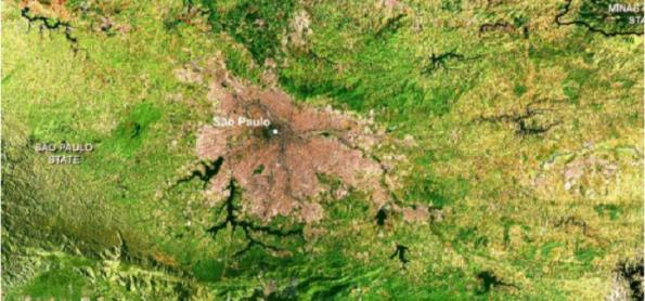 Instituto de Botânica irá estudar impacto do clima na vegetação 