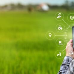 Como a tecnologia tem transformado a agricultura brasileira