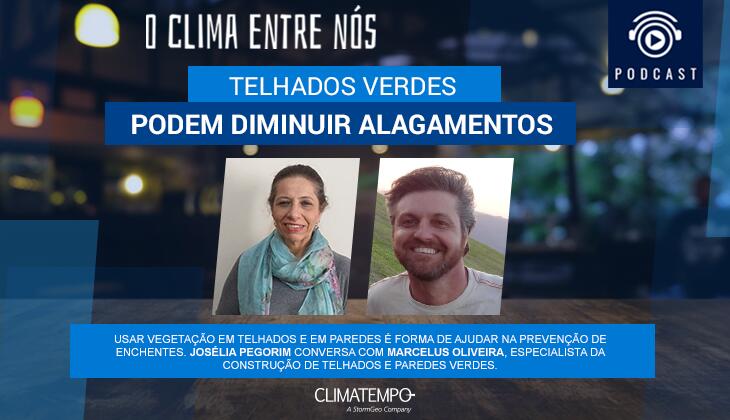 Telhados e paredes verdes ajudam a prevenir alagamentos
