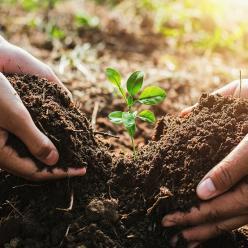 17 Objetivos de Desenvolvimento Sustentável fazem parte de um plano para combater mudanças climáticas e extrema pobreza