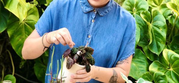 Como manter plantas áreas sempre bonitas e saudáveis?