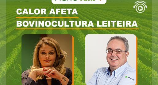AgroTalk: Calor afeta bovinocultura leiteira