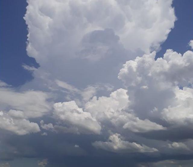 Foto: Jean Claude - Brasília - DF 