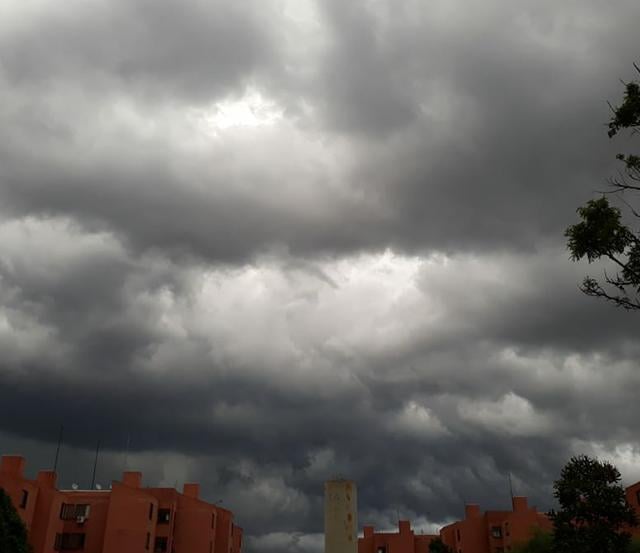 Foto: Amanda Sampaio - Osasco - SP 