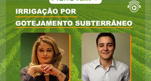 Irrigação por gotejamento subterrâneo é tema do AgroTalk
