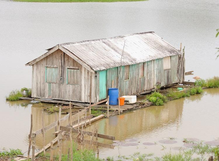 Chuvas extremas na Amazônia prejudicam gestantes e bebês 