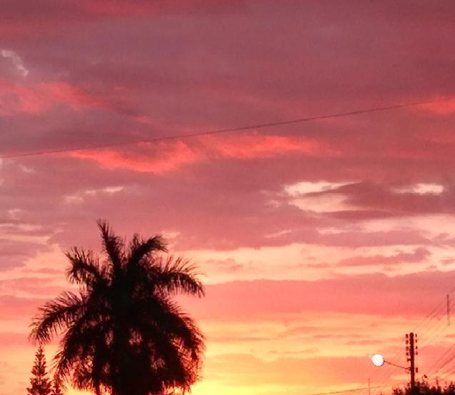 Foto: Rosangela Screpanti - Presidente Venceslau - SP  Foto: Rosangela Screpanti - Presidente Venceslau - SP