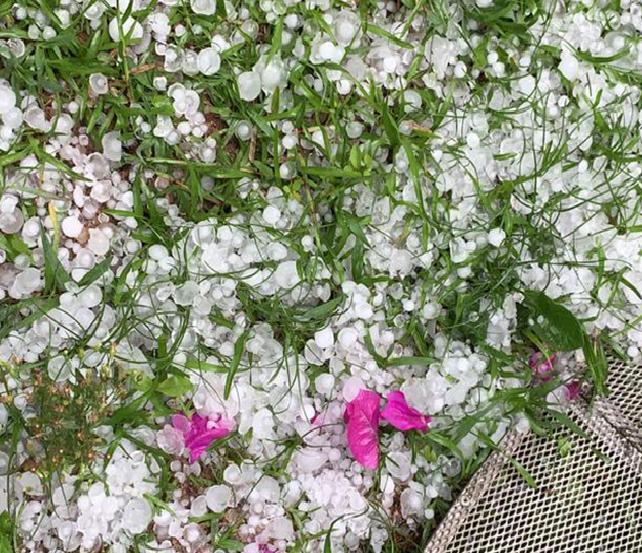 Foto: Flavio Siqueira - Piranguçu - MG