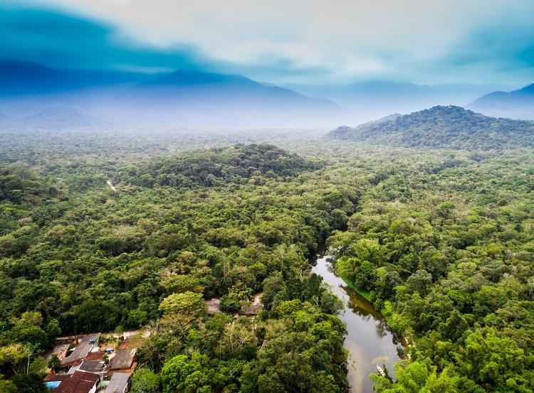 Foto: Floresta amazônica / iStock Foto: Floresta amazônica / iStock