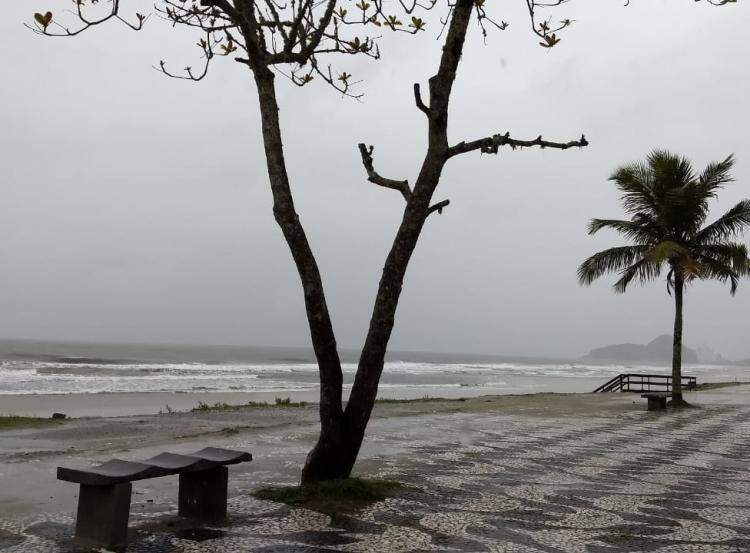 Foto: Almir Alves - Matinho - PR