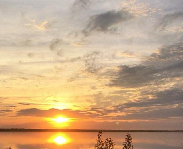 Foto: Noelle Viegas Foletto - Itaquiraí - RS 