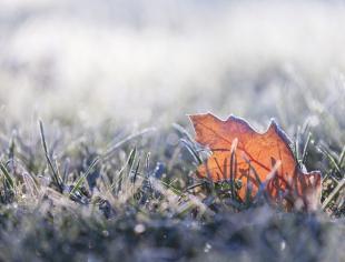 N_frio- IStock
