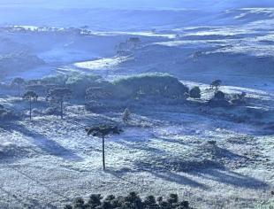 Geada 04 de Dezembro de 2018 - São Joaquim (10)