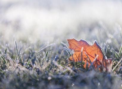 Foto: IStock