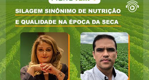 Produção de silagem na época da seca é tema do AgroTalk