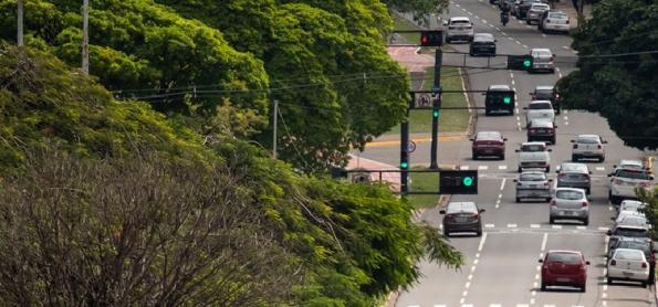 FAO inclui 3 cidades do BR entre as mais arborizadas do mundo