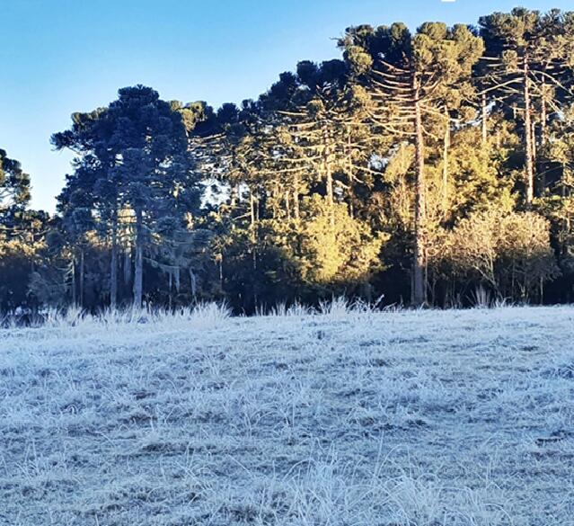 Frio E Geada No Sul Climatempo