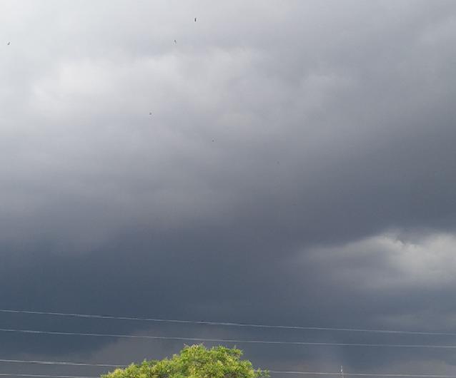 Foto: Leandro Fernandes - Manaus - AM