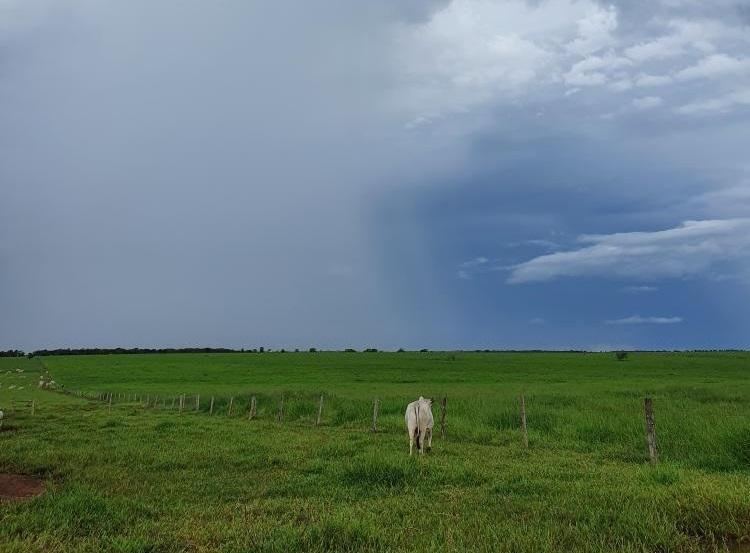 Foto: Água Boa (MT), por Daniel Estevam 