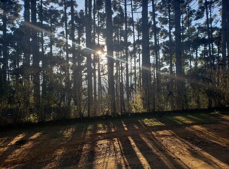 Foto: Monte Verde (MG), por Nelson Pacheco