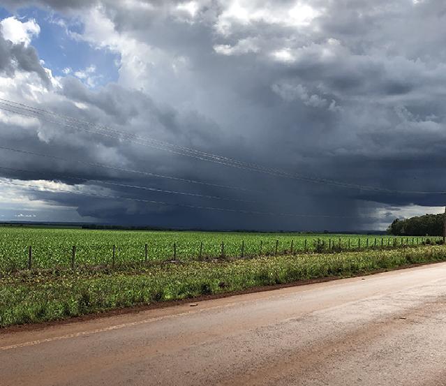 Foto: Jean Davi Rodrigues - Dourados - MS