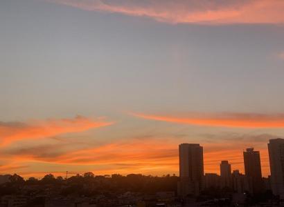 Foto: São Paulo (SP), por Carine Gama