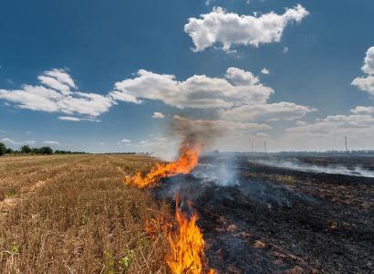 Foto: iStock