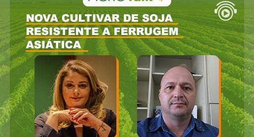 Nova cultivar resistente a ferrugem asiática é tema do AgroTalk