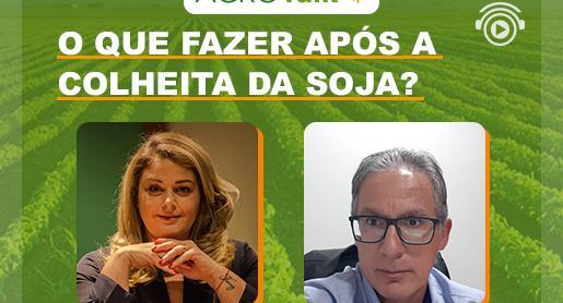 Manejo do solo pós colheita da soja. O que fazer? 