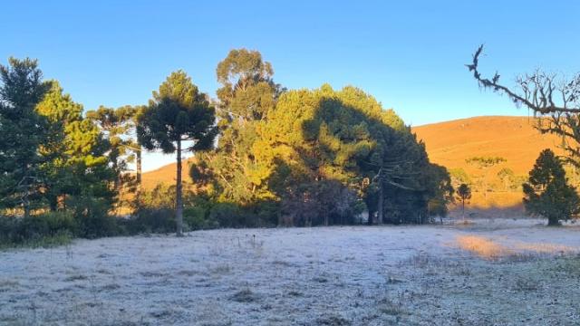 Mycchel_Legnaghi_São_Joaquim_Online_SC_campo4
