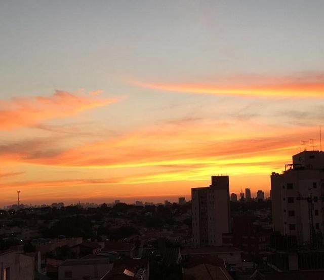 Foto: São Paulo (SP), por Bruna Picarelli