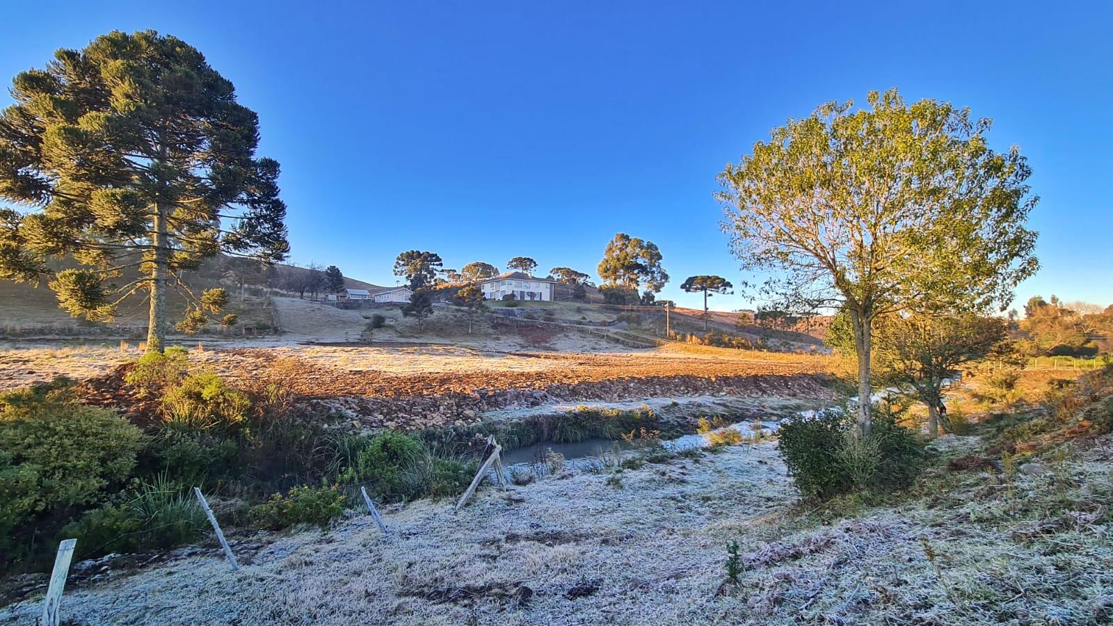 Mycchel-Legnaghi---São-Joaquim-Online_geada_campo11