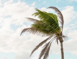 iStock-1086961334