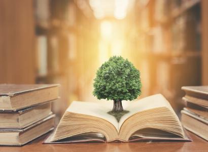 Foto: iStock