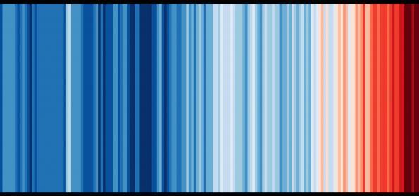 Show Your Stripes - Conheça a campanha