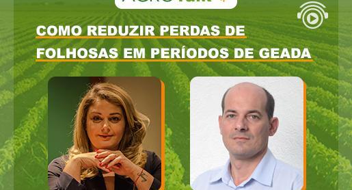 Como reduzir perdas de folhosas em períodos de geada