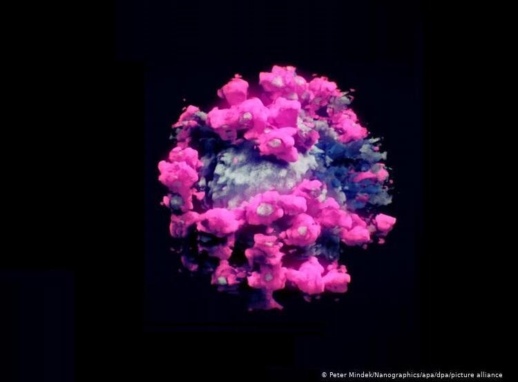 Foto: Peter Mindek/Nanographics/apa/dpa/picture alliance	