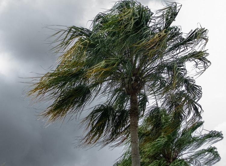Foto: iStock Foto: iStock