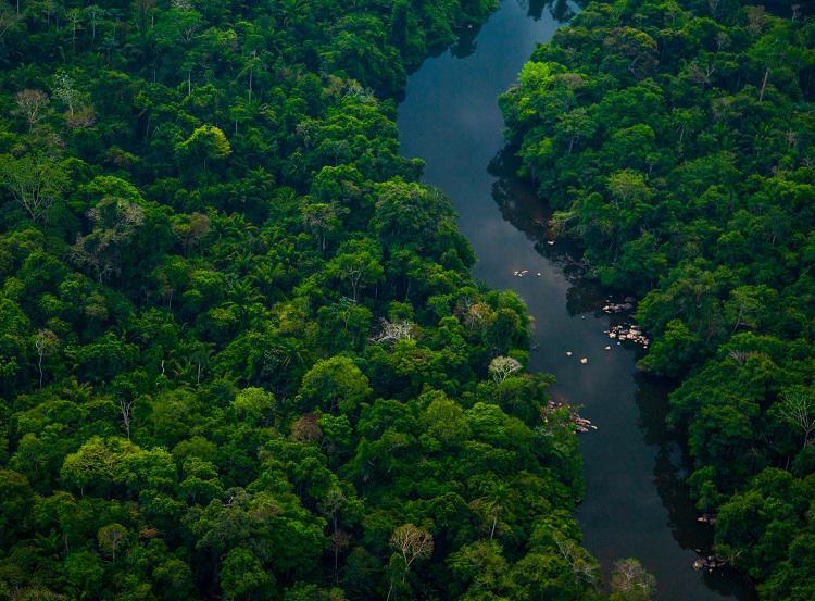 Foto: iStock Foto: iStock