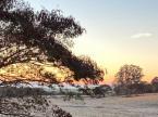 Foto: Daiana Albino - Paraguai - Estado do Alto Paraná, cidade Los Cedrales