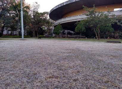 Foto: São Paulo (SP) por Marcel Pinheiro, geada na USP em 30/7/2021