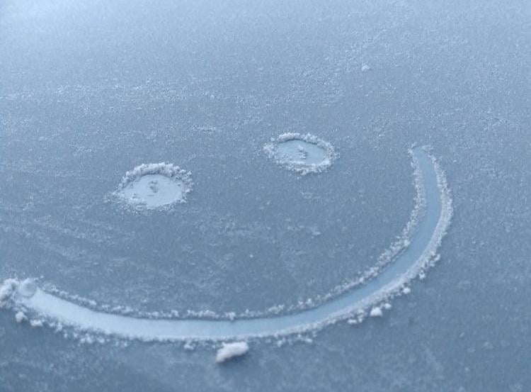 Foto: Maria da Fé (MG), por Josi Simões - geada