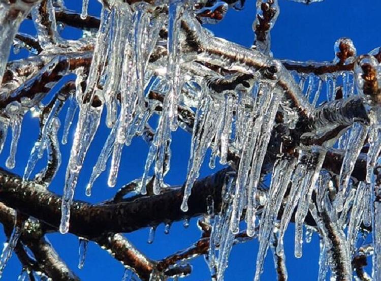 Foto: São Joaquim (SC), por Agência São Joaquim Online